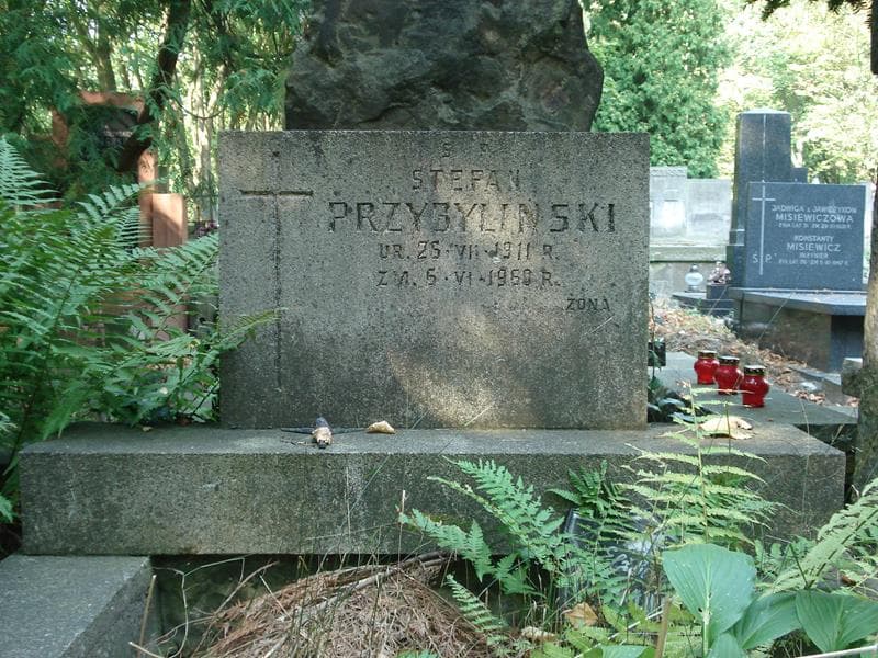 Zdjęcie grobu Stefan Przybyliński (2)