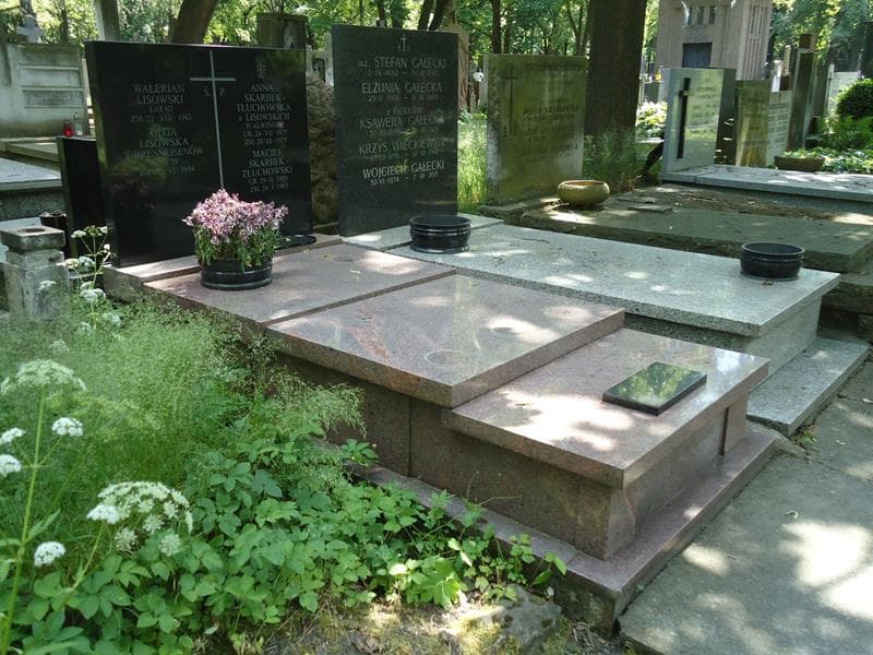 Zdjęcie grobu Walerian Lisowski (1)