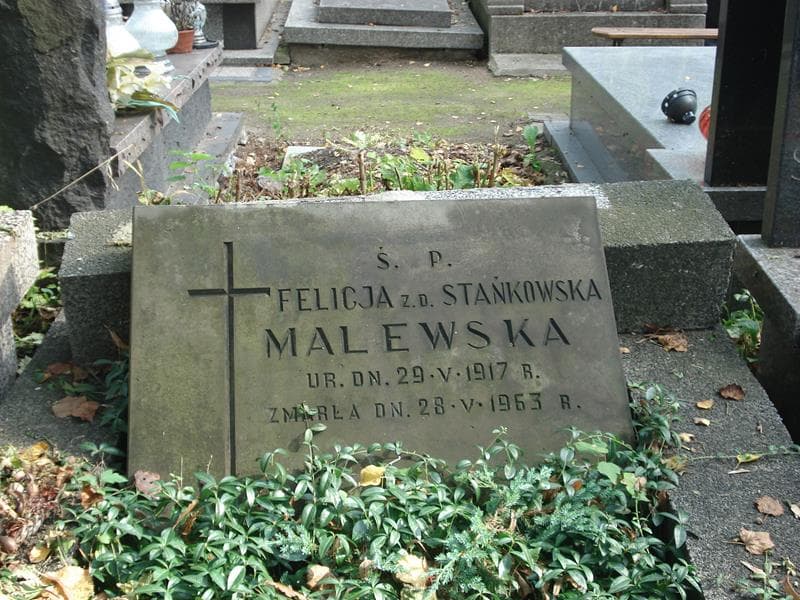 Zdjęcie grobu Felicja Malewska (2)