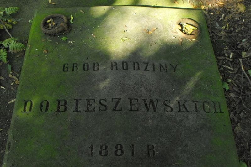 Zdjęcie grobu Dobieszewscy (2)