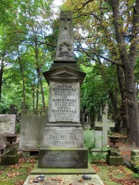Zdjęcie grobu Władysław Bortnowski (2)