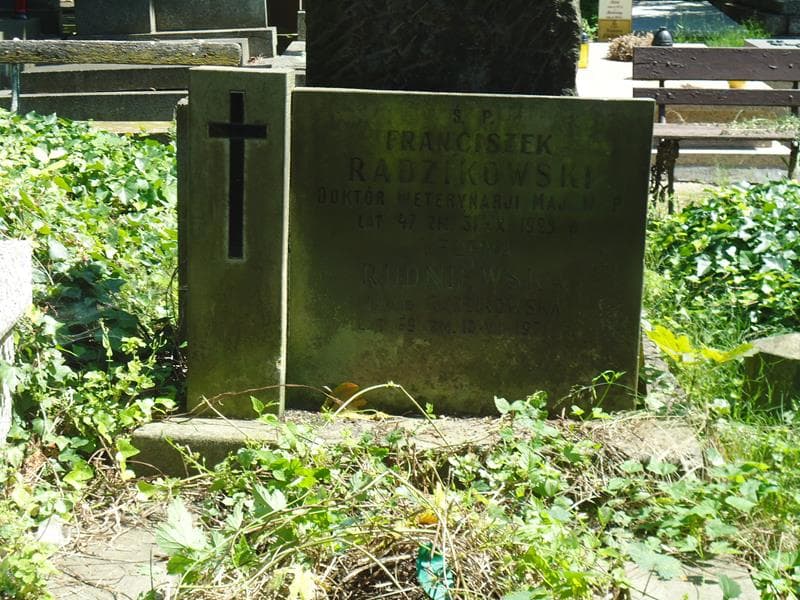 Zdjęcie grobu Helena Rudniewska (2)
