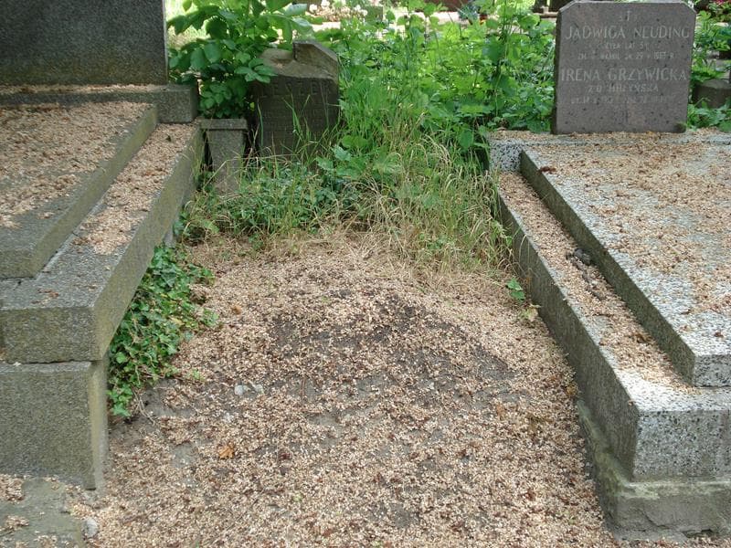 Zdjęcie grobu: Władysław Leszek