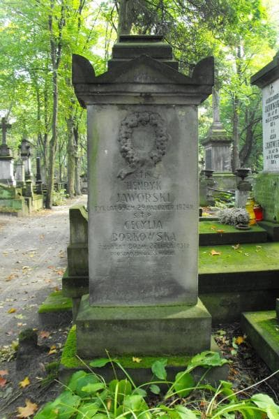 Zdjęcie grobu Cecylja Borkowska (2)
