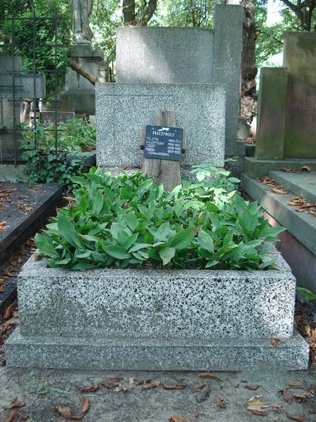 Zdjęcie grobu: Józef Pełczyński