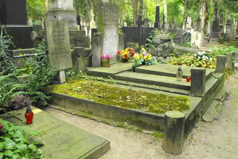 Zdjęcie grobu Stefania Kochanowska (1)