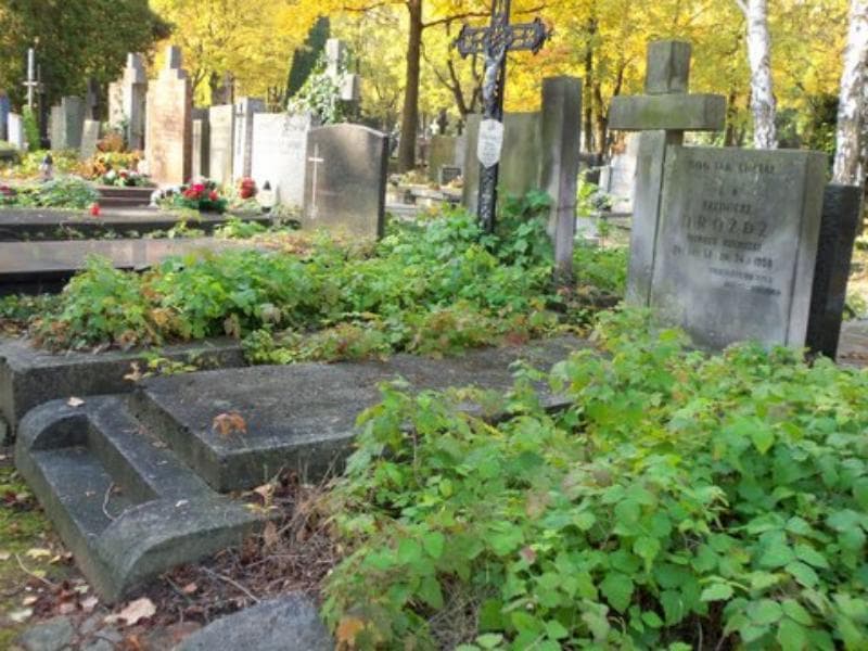Zdjęcie grobu Kazimierz Drożdż (1)