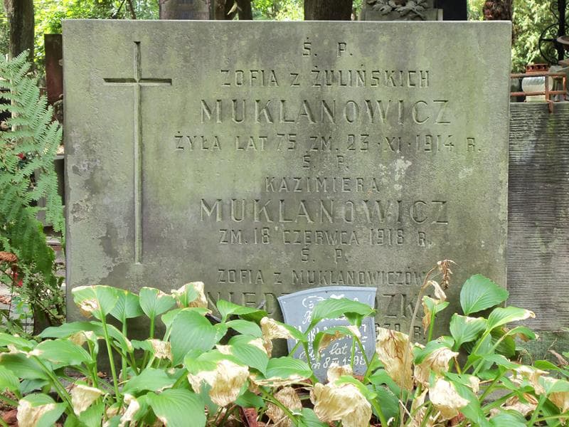 Zdjęcie grobu Zofia Niedzwiedzka (2)