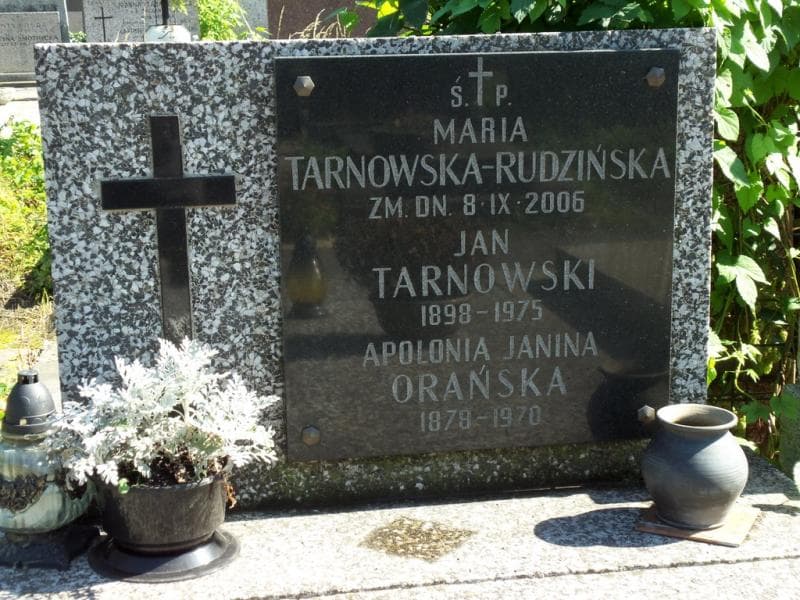 Zdjęcie grobu Jan Tarnowski (2)