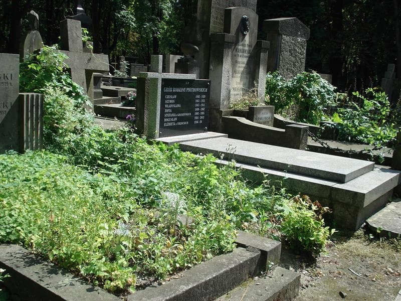 Zdjęcie grobu Anna Piechowicz (1)