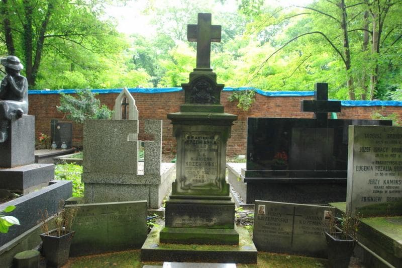 Zdjęcie grobu Janina Krzemińska (2)