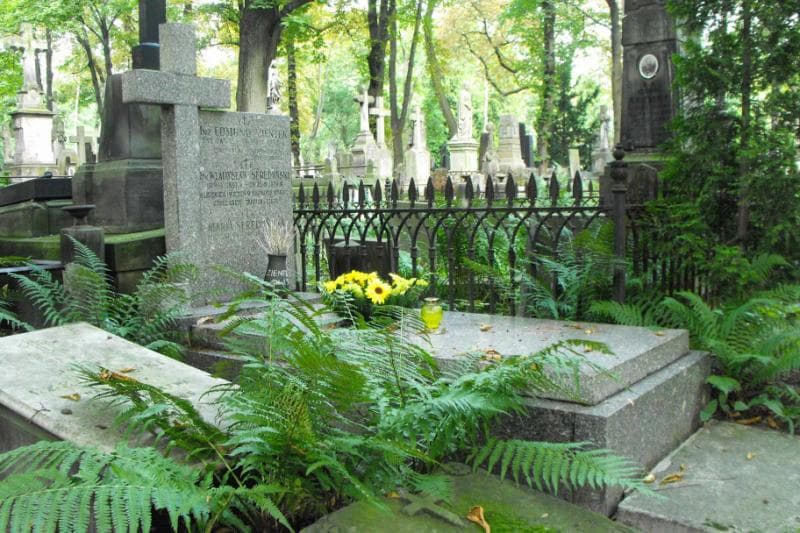 Zdjęcie grobu Maria Seredyńska (1)