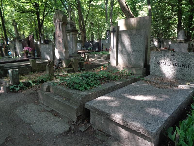 Zdjęcie grobu: Władysław Tatarynowicz