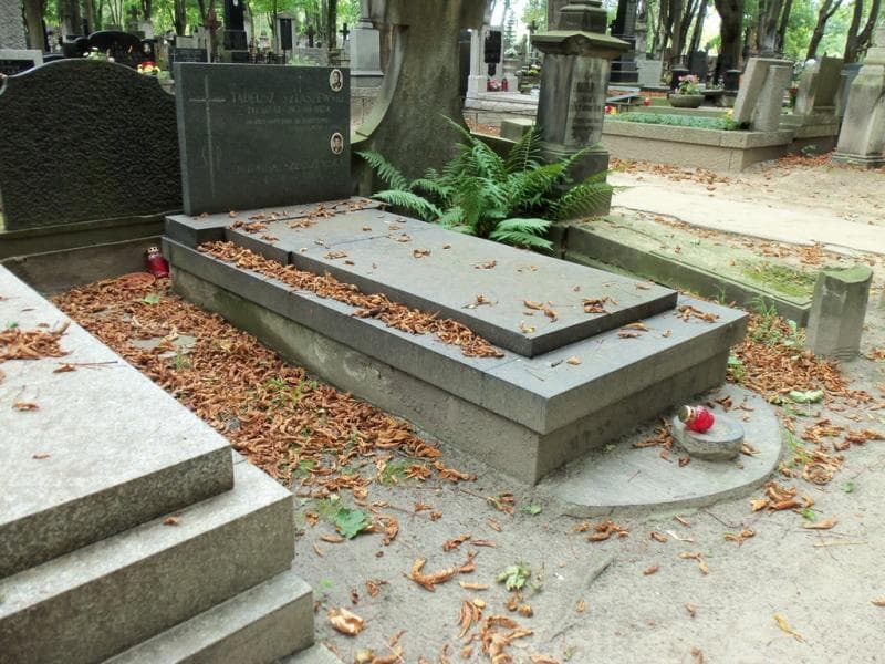 Zdjęcie grobu Tadeusz Szlaszewski (1)