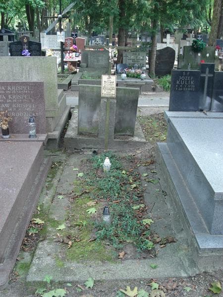 Zdjęcie grobu: Stanisław Leoniecki