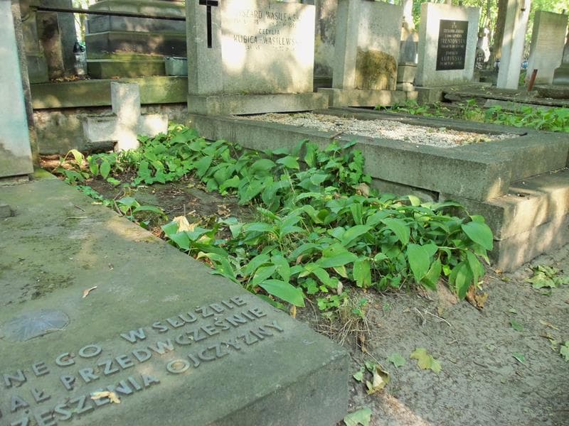 Zdjęcie grobu Franciszek Józefowicz (1)
