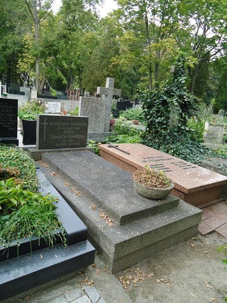 Zdjęcie grobu Bolesław Jawidzyk (1)