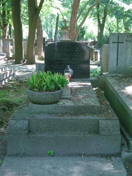 Zdjęcie grobu: Bronisław Perkowski