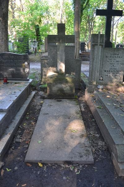 Zdjęcie grobu Adolf Mamczyc (1)