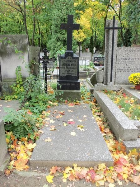 Zdjęcie grobu: Antonina Woyde