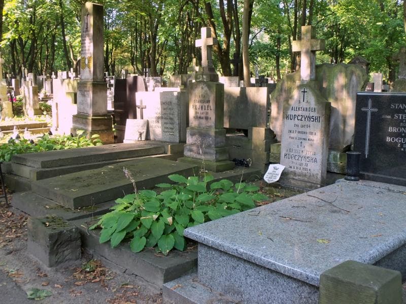 Zdjęcie grobu: Ania Dobrowolska