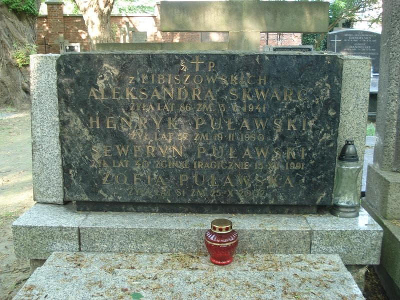 Zdjęcie grobu Henryk Puławski (1)