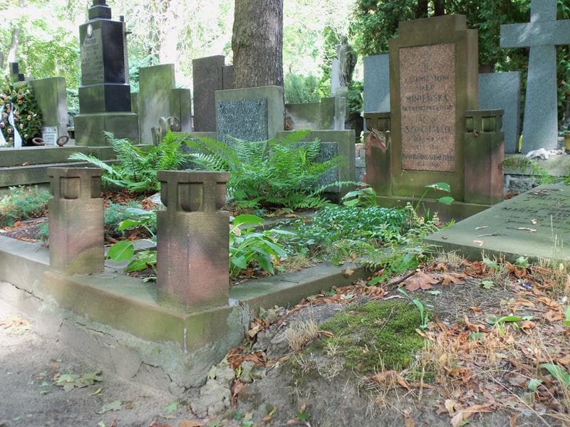 Zdjęcie grobu Bronisława Szemetyłło (1)