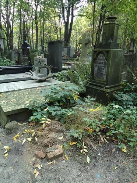 Zdjęcie grobu Leokadja Tuszowska (1)