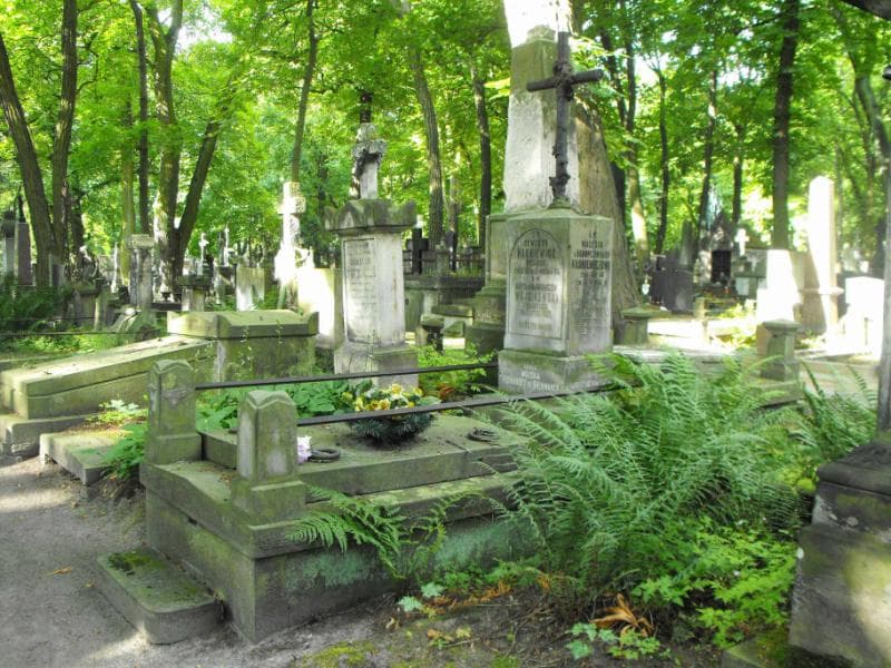 Zdjęcie grobu Seweryn Narkiewicz (1)