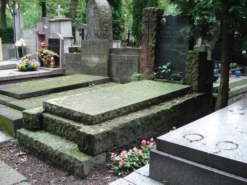 Zdjęcie grobu Stanisław Lewandowski (1)