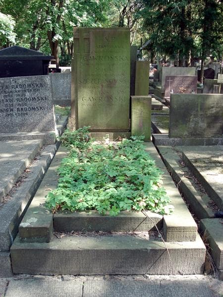 Zdjęcie grobu Józefa Szczepanowska (1)