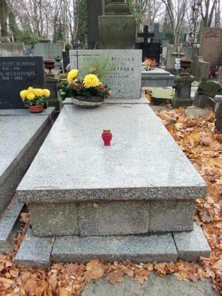 Zdjęcie grobu: Józefa Leixner