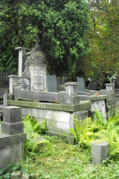 Zdjęcie grobu Apolinary Szelągowski (2)