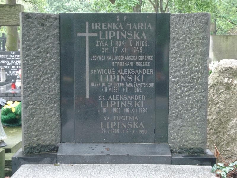 Zdjęcie grobu Aleksander Lipiński (2)