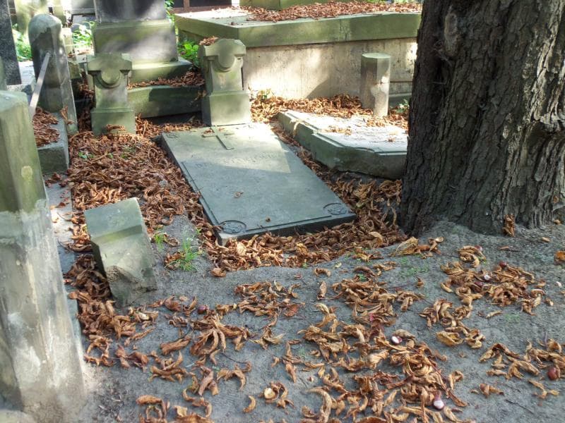 Zdjęcie grobu Józefa Dłużniakiewicz (1)
