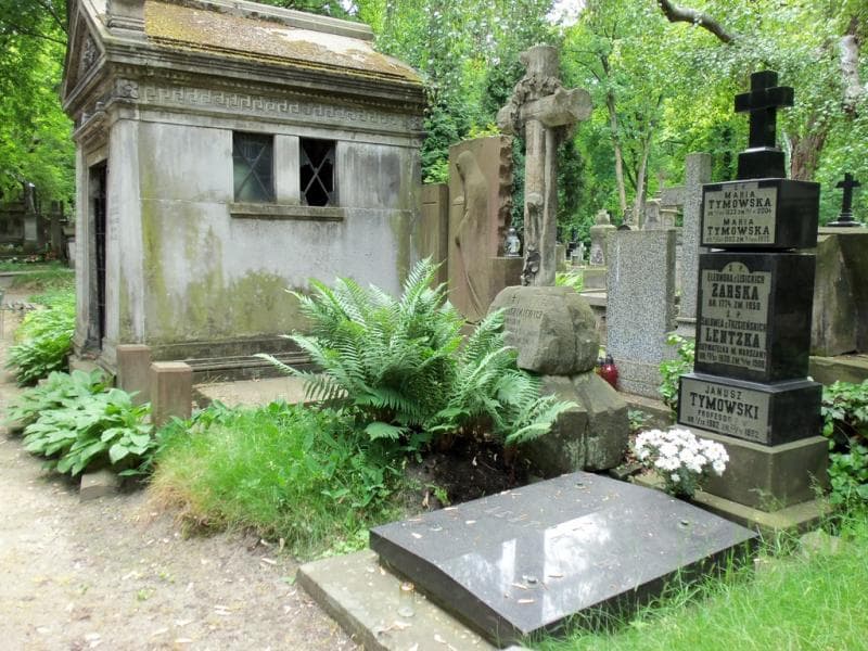 Zdjęcie grobu Felix Bełczykiewicz (1)