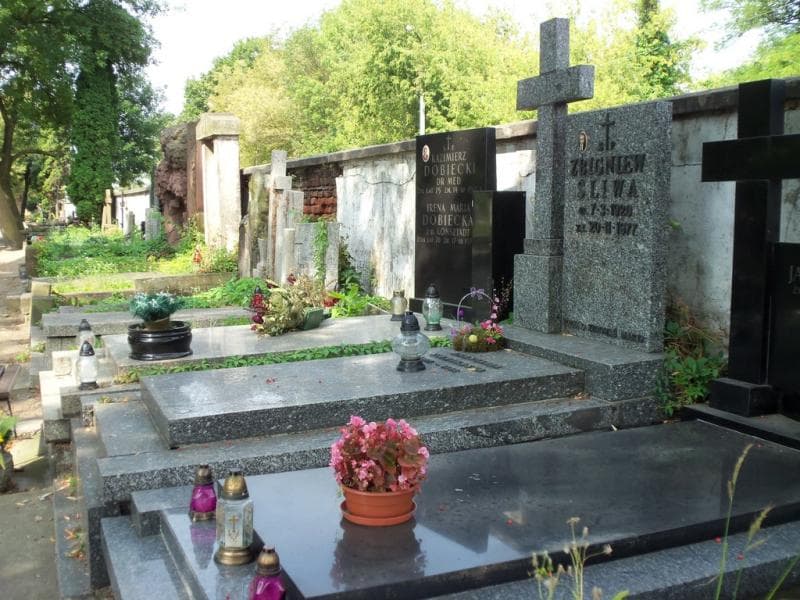 Zdjęcie grobu Anastazja Siekierska (1)