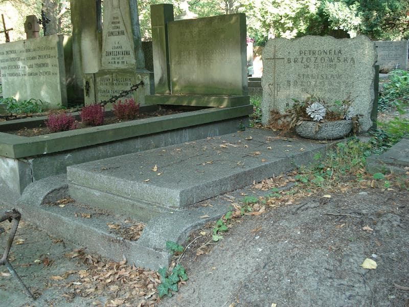 Zdjęcie grobu Stanisław Brzozowski (1)