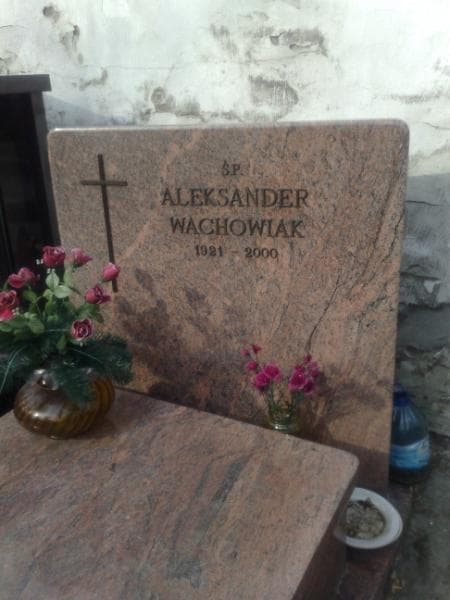 Zdjęcie grobu Aleksander Wachowiak (1)