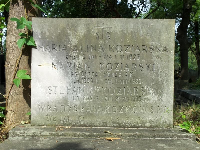 Zdjęcie grobu Władysław Kozłowski (2)