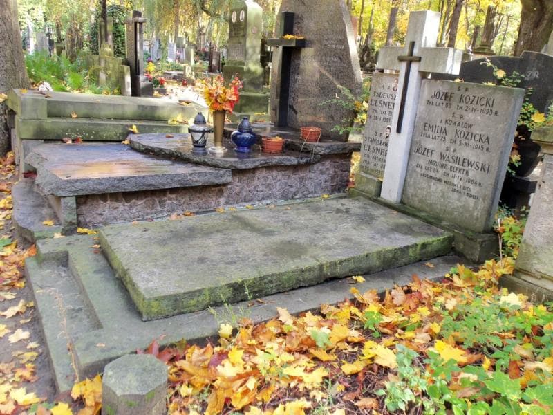 Zdjęcie grobu Józef Wasilewski (1)