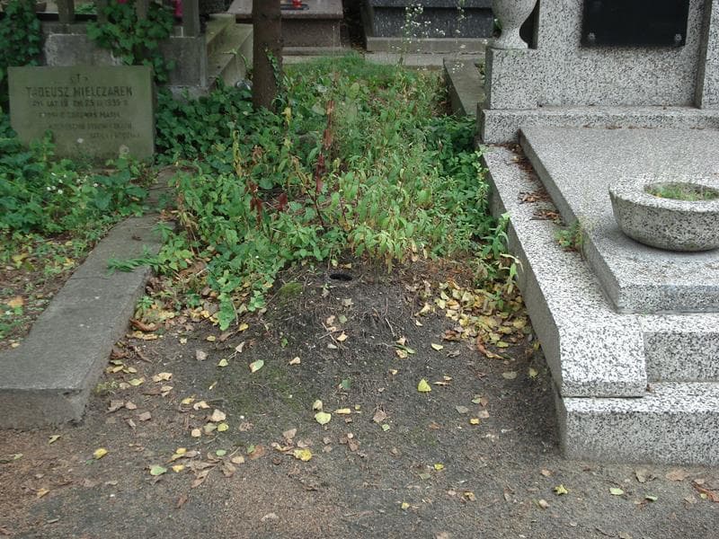 Zdjęcie grobu: Stanisław Chmielewski