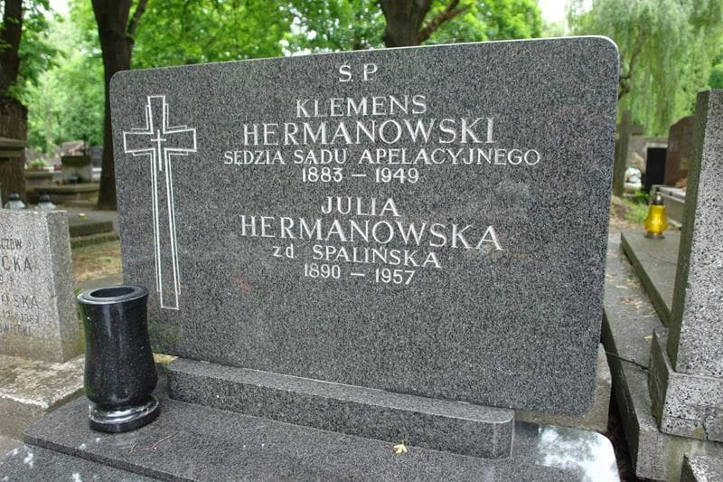 Zdjęcie grobu Klemens Hermanowski (2)