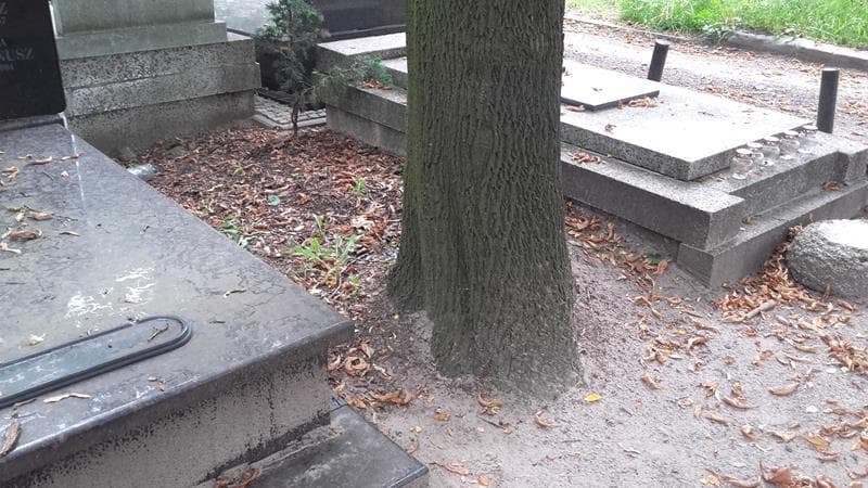 Zdjęcie grobu: Pole Grobowe