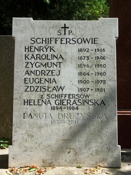 Zdjęcie grobu Danuta Drużyńska (2)
