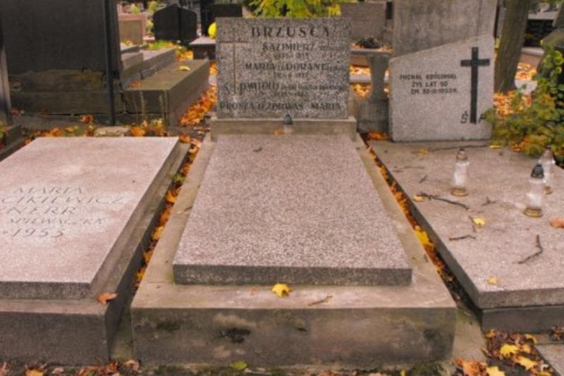 Zdjęcie grobu: Witold Brzuski