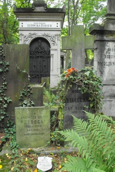 Zdjęcie grobu Białeccy (2)