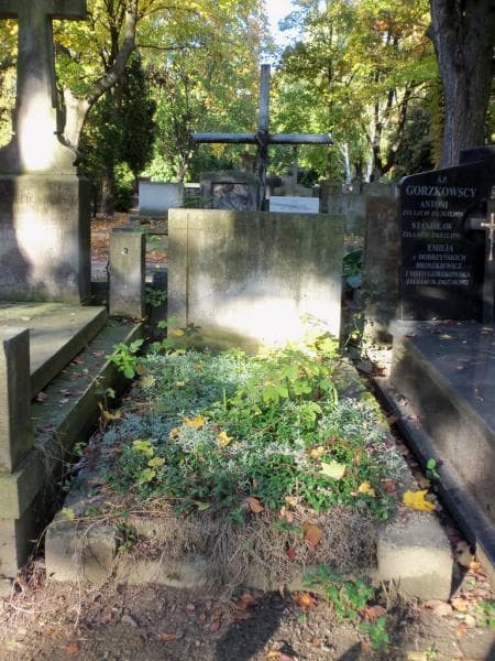 Zdjęcie grobu: Maria Wróbel - Krzepisz