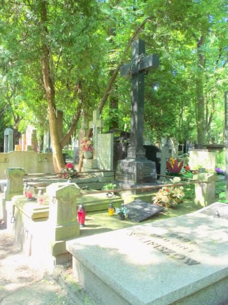 Zdjęcie grobu Wiktorja Wajdeman (1)