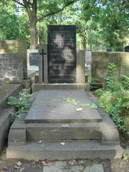 Zdjęcie grobu: Antonina Dzierla
